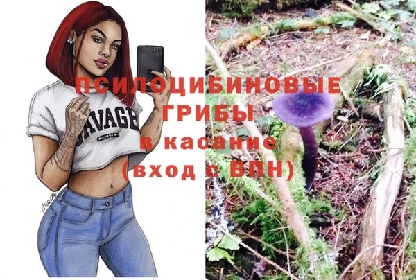кокс Козловка